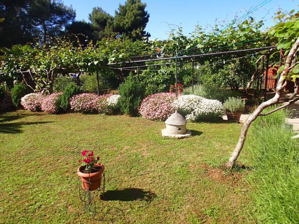 Nicole Apartamento Pula